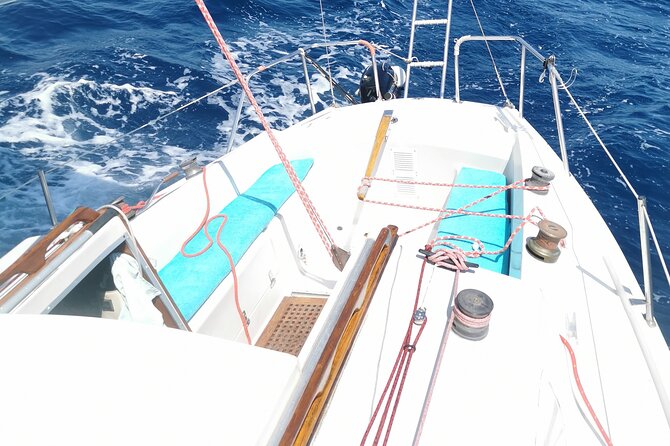 Private sailing excursion & Provencal picnic - Price and value: what you get for about $138 per person