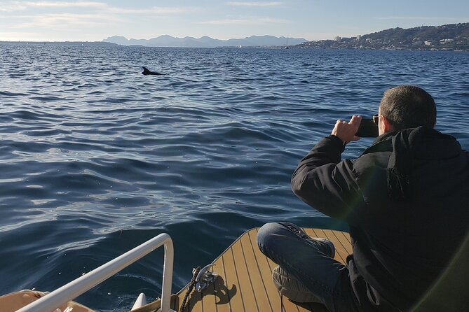 Private Solar Catamaran Cruise in Antibes Juan les Pins - Meet your Ambassador guide, and how the ride becomes more than scenery