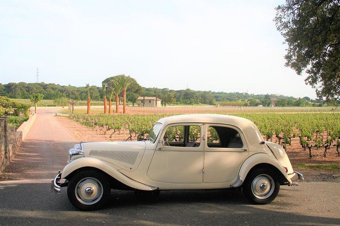 Private tour by private car: Grasse, Cannes, Antibes - Price, Value, and What You Are Paying For