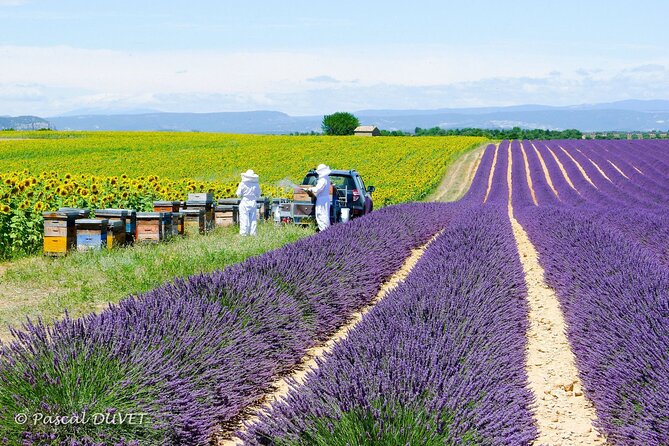 Private Tour of Gorges of Verdon and Fields of Lavender in Nice - The Drive From Nice: Enjoy the Views, Plan for Time