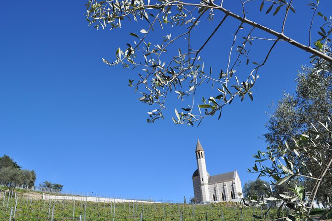Private Wine Tour of the vineyards on the French Riviera - Saint-Paul-de-Vence Lunch Break: Medieval Streets Without the Rush