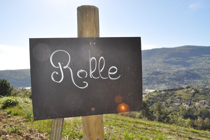 Private Wine Tour of the vineyards on the French Riviera - Who This Private Wine Day Fits Best