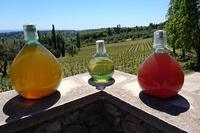 Private Wine Tour of the vineyards on the French Riviera - Should You Book This Private Wine Tour of Nice and Bellet?