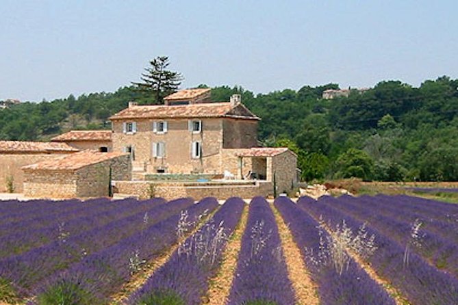 Provence and Lavender - private & Guided Full Day Tour - Key things to know before you go