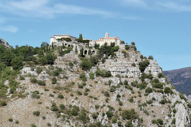 Provence and Tradition - Private Guided Tour - Opio Olive Mill Visit: Tasting Provence Beyond the View