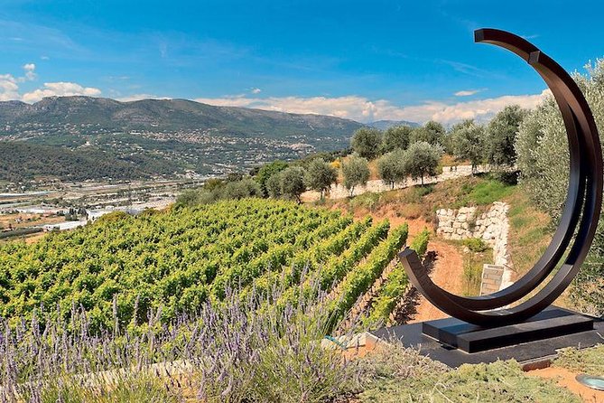 Provence Organic Wine Small Group Half Day Tour with Tastings from Nice - Key highlights worth your attention