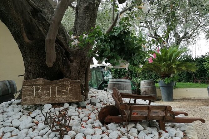 Provence Organic Wine Small Group Half Day Tour with Tastings from Nice - Stop 1 at Chateau de Crémat: gardens, cellar time, and a classic estate feel