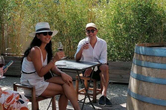 Provence Organic Wine Small Group Half Day Tour with Tastings from Nice - The scenic side stops: blue seats and hillside viewpoints with vines