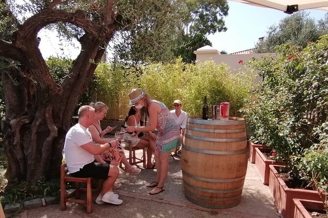 Provence Organic Wine Small Group Half Day Tour with Tastings from Nice - Who should book this and who should skip it