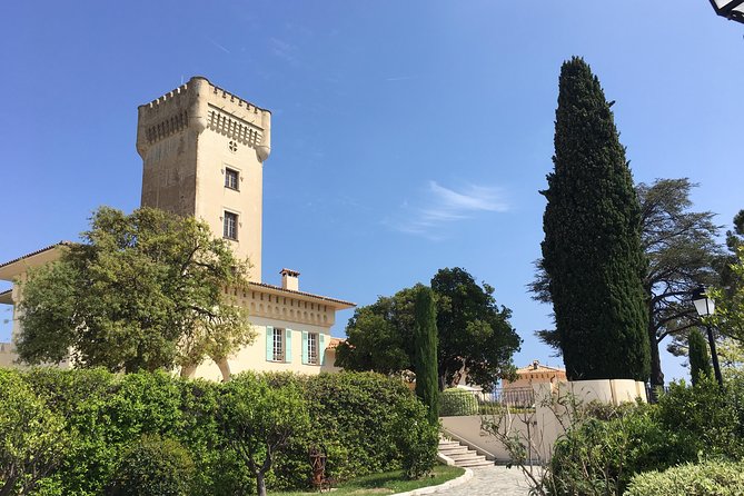 Provence Organic Wine Small Group Half Day Tour with Tastings from Nice - The half-day timing that actually works for Nice plans