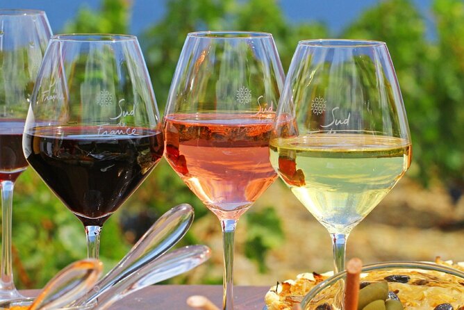 Provence Organic Wine Tasting Half Day Tour from Nice - Key takeaways before you go