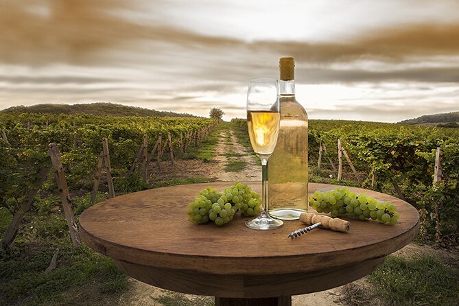 Provence Organic Wine Tasting Half Day Tour from Nice - Getting there from Nice: pickup timing is the whole game