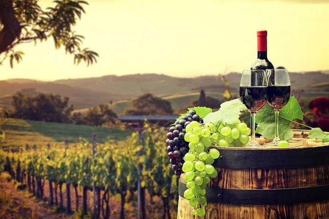Provence Organic Wine Tasting Half Day Tour from Nice - Saint-Jeannet cellar time: what the winemaker tasting is really like
