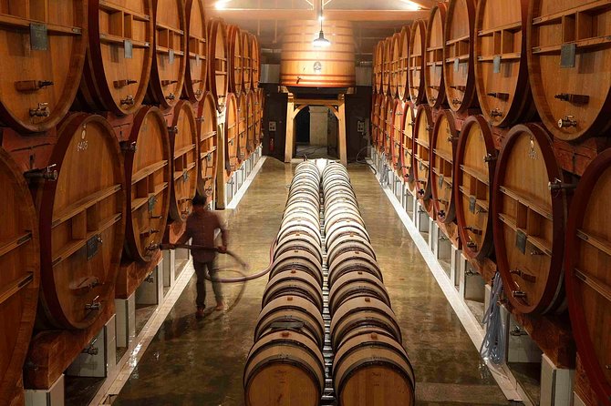 Provence Private Full Day Wine Tour with Wine Tasting - Private Provence Wine Day From Nice, With Driver And Jacques