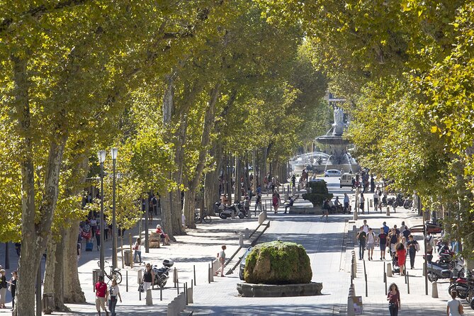 Provence, Vineyards and Lavender Fields Private Day Trip - Provence in a Single Day From Nice: Why This Works