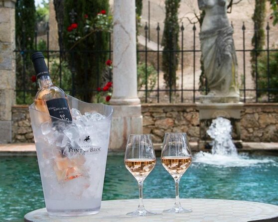 Provence Wine Tour - Private Day Tour from Cannes - Key things to love about this Cannes to Provence wine tour