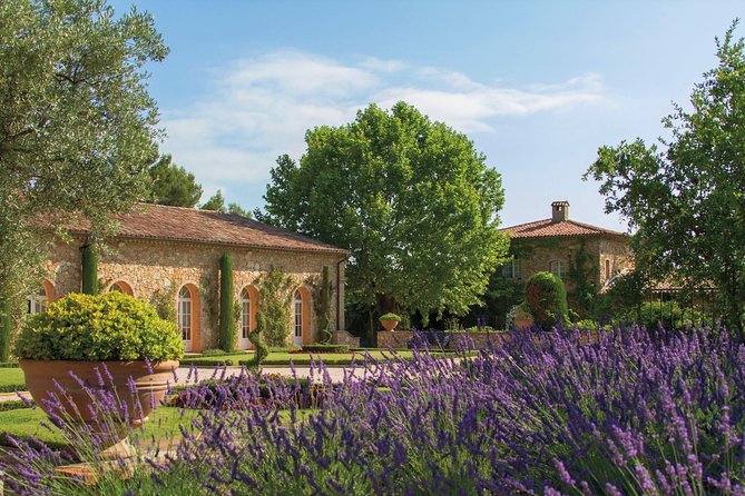 Provence Wine Tour - Private Day Tour from Cannes - Chateau Font du Broc: organic production and Argens valley views