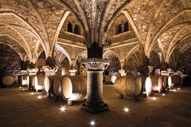 Provence Wine Tour - Private Day Tour from Nice - Provence Wine Country Without the Hassle of Getting There From Nice