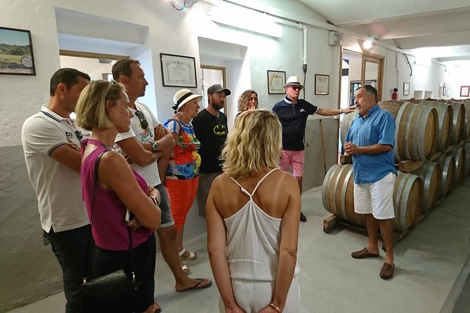 Provence Wine Tour - Private Day Tour from Nice - Lunch Plans: Budget for 25 to 30€ and Keep It Flexible