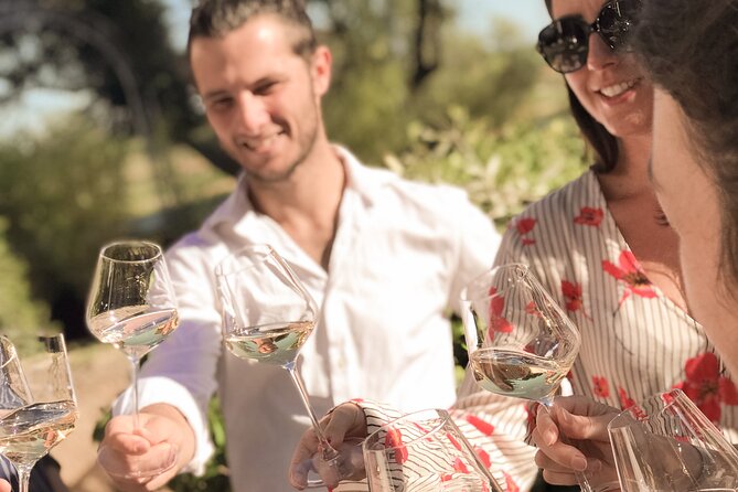 Provence Wine Tour - Small Group Tour from Cannes - Domaine des Féraud: Family-Run Organic Wines With a Modern Touch
