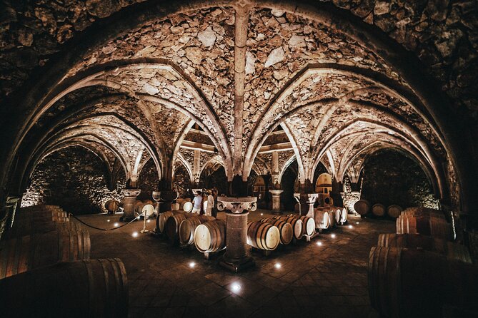 Provence Wine Tour - Small Group Tour from Nice - Your guide makes the day: Lionel, Frank, Peter, Edwin, Cedric, and more