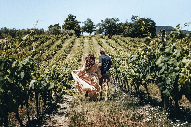 Provence Wine Tour - Small Group Tour from Nice - Price and value: is $187.53 actually fair for what you get?