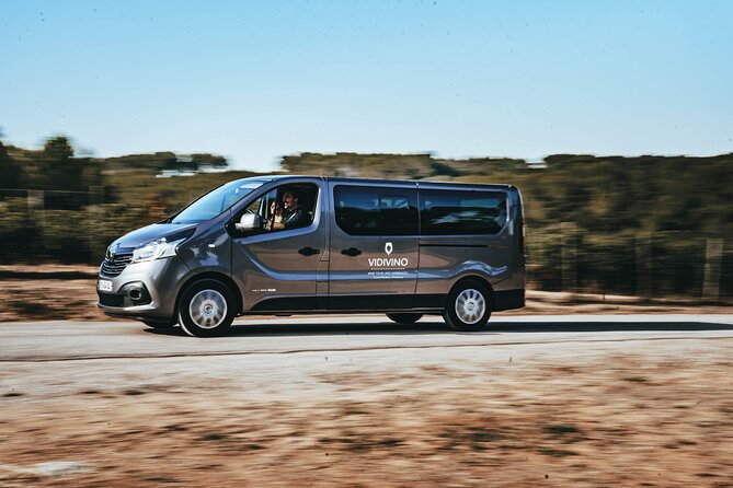 Provence Wine Tour - Small Group Tour from Nice - The 8-hour rhythm: pickup, three estates, lunch, and a full return