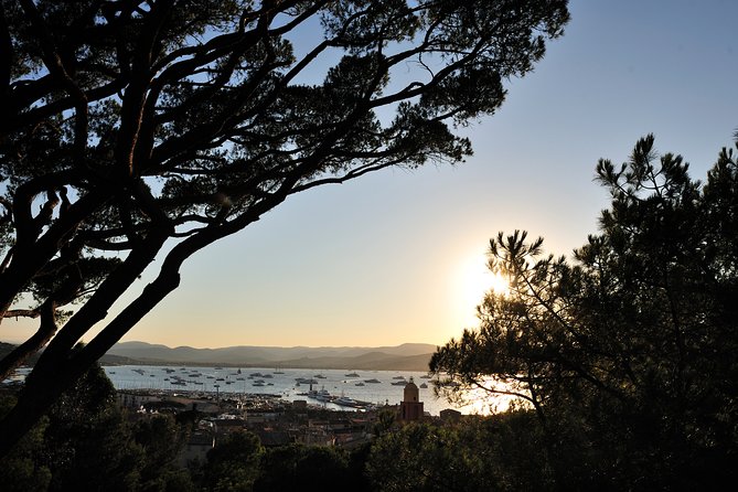 Saint-Tropez and Port Grimaud Day from Nice Small-Group Tour - Value for Money: Paying for Pickup, Transport, and Sight-Time