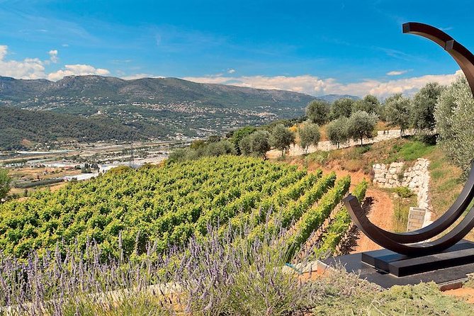 Semi Private Organic Wine & Food Tasting Tour (From Nice) - Key highlights to zero in on