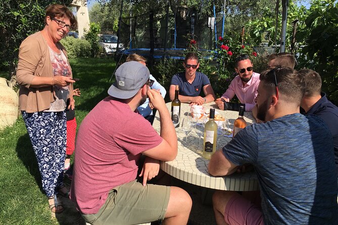 Semi Private Organic Wine & Food Tasting Tour (From Nice) - What’s included, what’s not, and how to budget without surprises