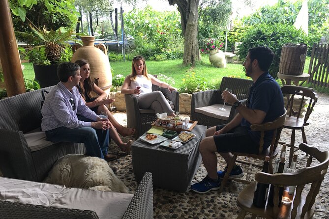 Semi Private Organic Wine & Food Tasting Tour (From Nice) - Pickup from Nice: easy start, no rental car stress
