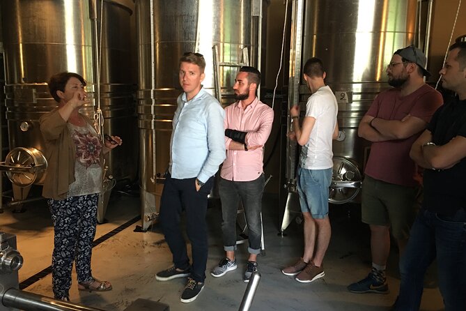 Semi Private Organic Wine & Food Tasting Tour (From Nice) - The two-winery contrast is the point