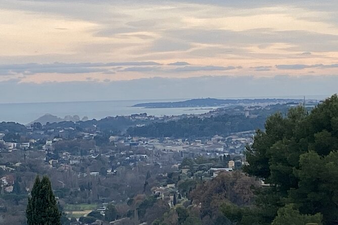 Small-Group Half-Day Tour to St-Paul-de-Vence, Antibes and Cannes from Nice - Cannes on the Croisette: Palms, Terraces, and a Quick Taste