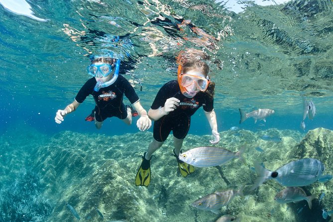 Snorkeling - By boat on site in the Bay of Cannes or Estérel - The on-site water time: safety briefing, then swim freely