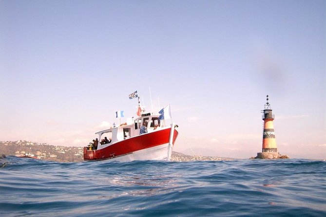 Snorkeling - By boat on site in the Bay of Cannes or Estérel - The boat ride reality check: choppy water, timing, and music