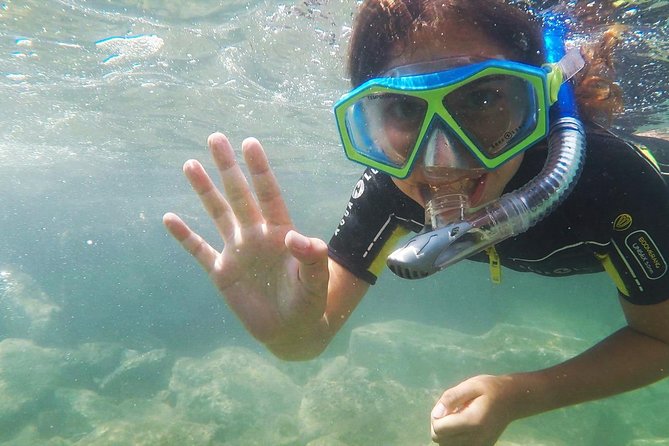 Snorkeling - By boat on site in the Bay of Cannes or Estérel - How this trip scores on value at about $52.98
