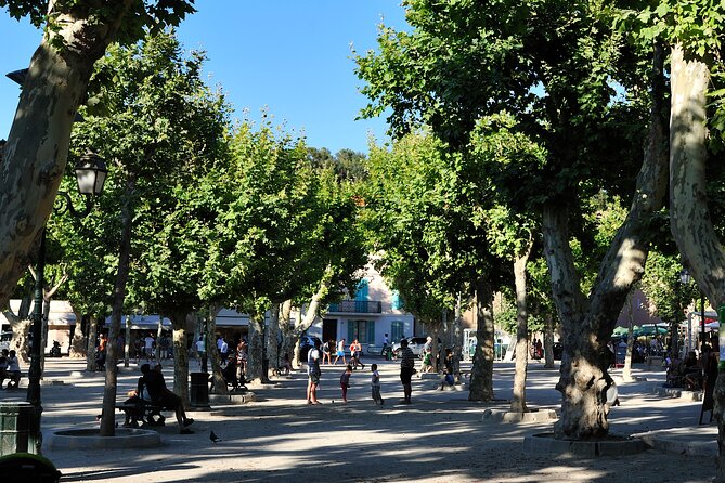 St-Tropez Day Tour from Cannes Small-Group and Shore Excursion - Price and Value: What You’re Paying For at $168.22