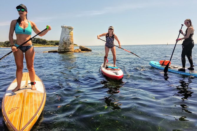 Stand-Up Paddle & Snorkeling with Local Guide near Nice - Entering Villefranche Bay on a SUP, without the stress