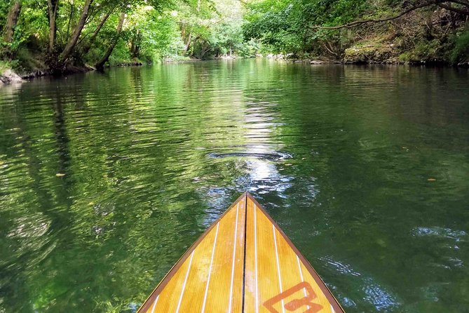 Stand-Up Paddle & Snorkeling with Local Guide near Nice - St-Jean-Cap-Ferrat: pacing changes as the coastline opens up