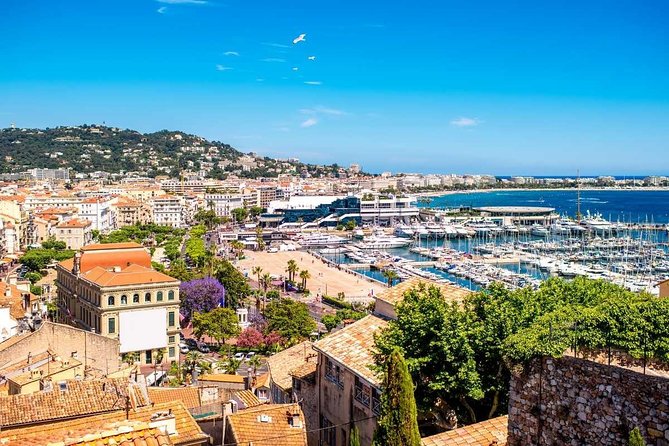 The very best of French Riviera in one day – Cannes, Antibes, Nice, Eze, Monaco - Cannes: Croisette, Film-Festival Red Carpet Energy, and Easy People-Watching