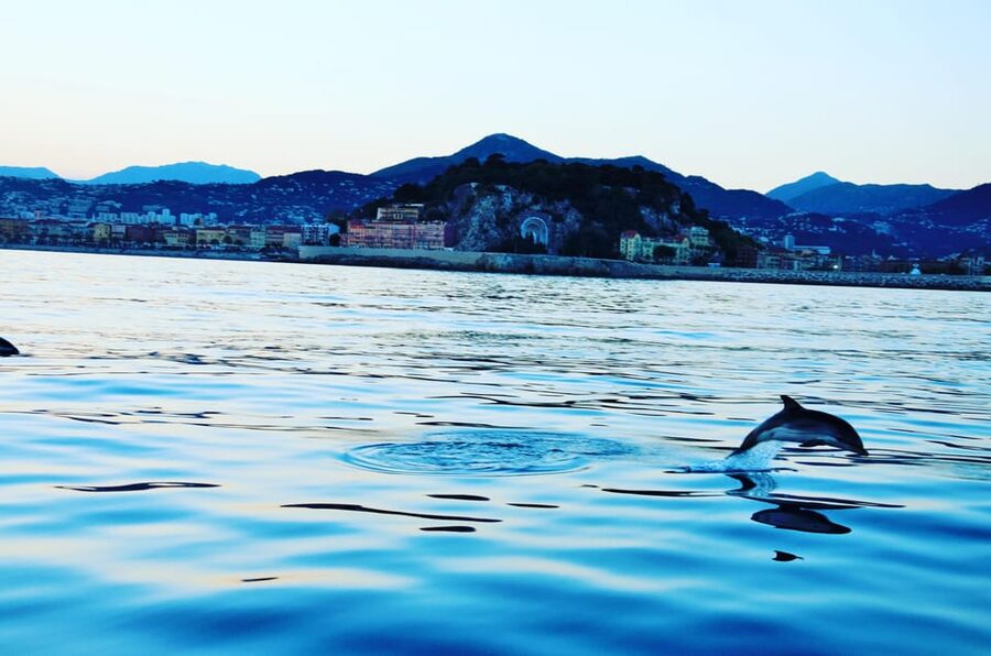Unforgettable Boat Excursion - A Cap-Ferrat-Style Day on the Water Starts in Beaulieu-sur-Mer