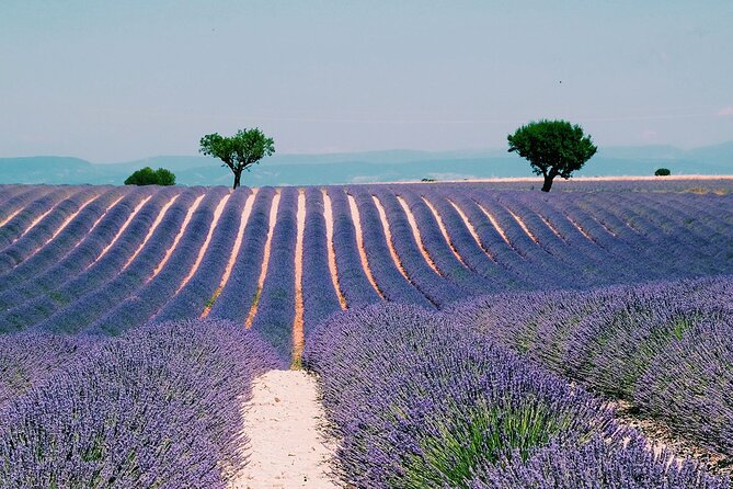 Verdon Gorge: The Grand canyon of Europe, Lake and Lavender - The guide makes the day: Laurent, Marcos, Stephan, Ruben