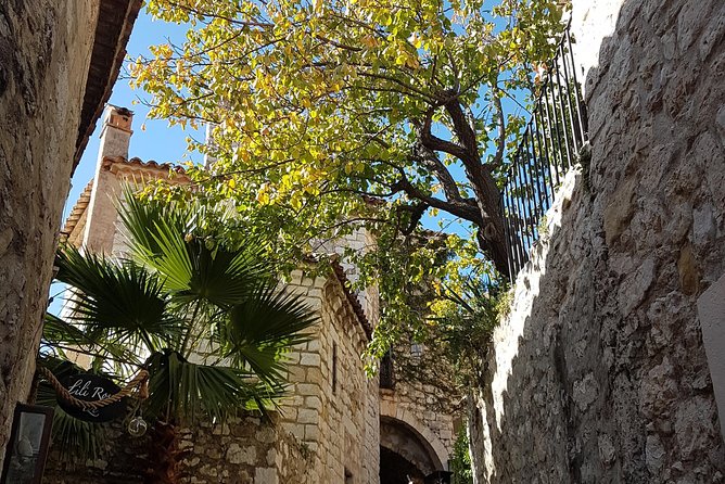 Villefranche Shore Excursion: 6 hrs Private Tour Eze and Monaco - Stop 2: Vieux Eze, Medieval Streets, and the Exotic Garden Option