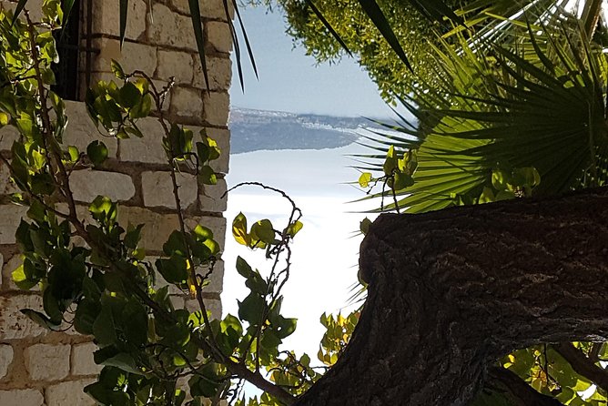 Villefranche Shore Excursion: 6 hrs Private Tour Eze and Monaco - Practical Tips So Your Day Feels Smooth