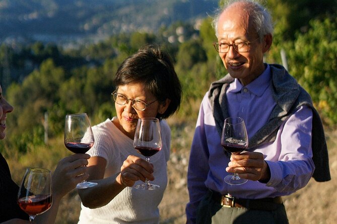 Vineyard Tour with Wine Tasting within Nice city borders - Small Group Size: What Maximum 15 People Does For Your Experience
