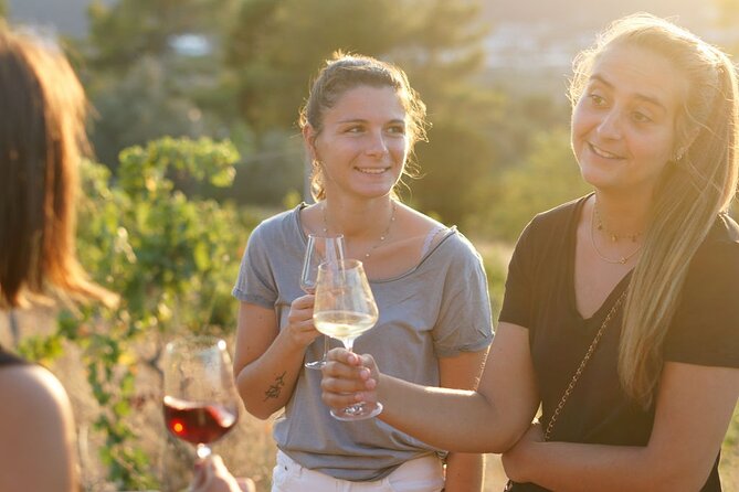 Vineyard Tour with Wine Tasting within Nice city borders - Price and Value: Why Around $39.91 Can Be Fair, If You Like Wine Learning
