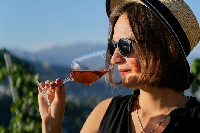 Vineyard Tour with Wine Tasting within Nice city borders - What To Bring, When To Go, and How Weather Affects Your Day
