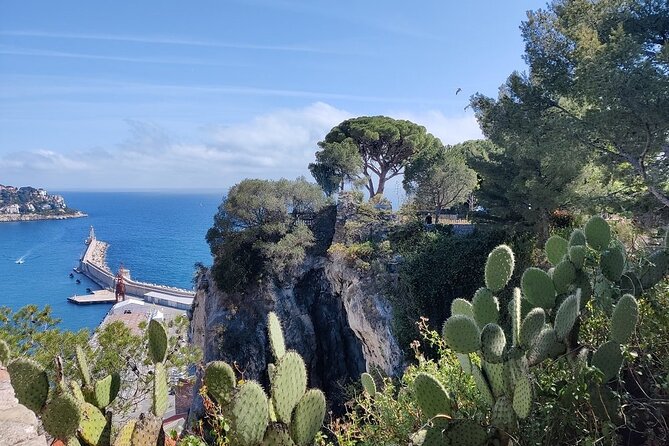 Visit Nice in 2h with Local Certified Guide - Panoramas toward Port Lympia and Mont Boron