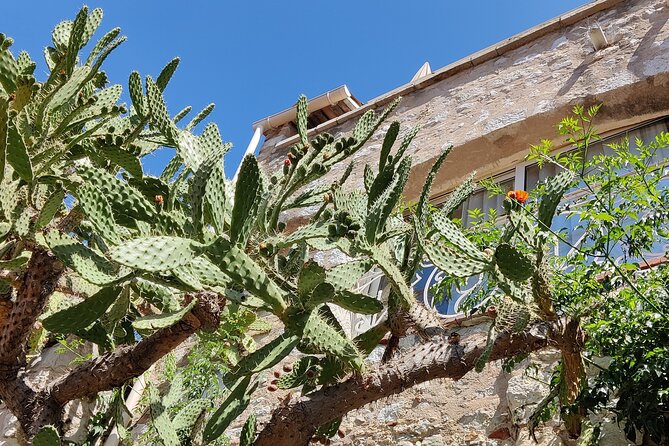 Visit of the Medieval Village of Èze - Stop 5: Jardin Exotique d’Èze, 400+ Succulents and Jean-Philippe Richard Sculptures