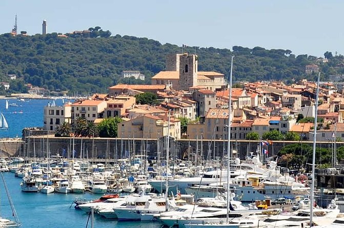 Wine Tasting, Provencal Market, Cannes and St Paul de Vence - Which kind of traveler should book this Nice day trip